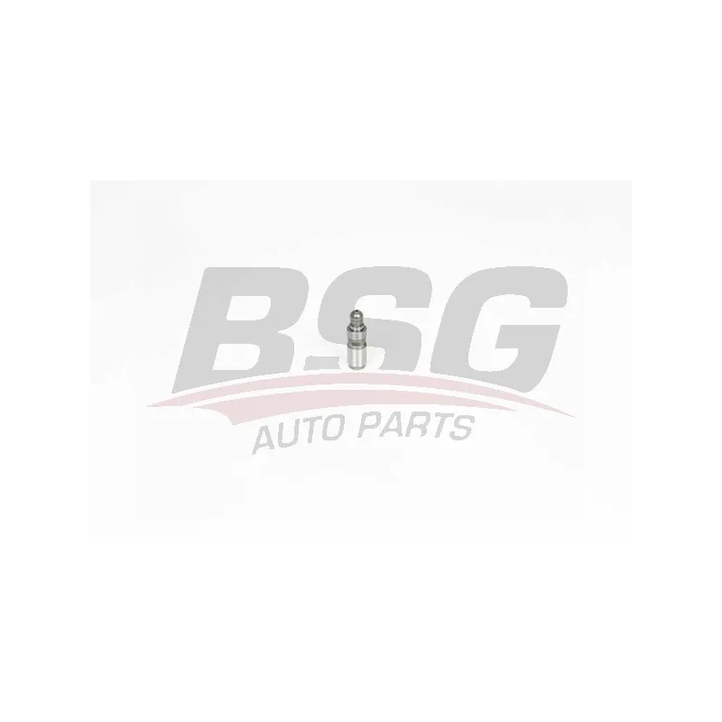 Poussoir de soupape BSG BSG 15-122-018