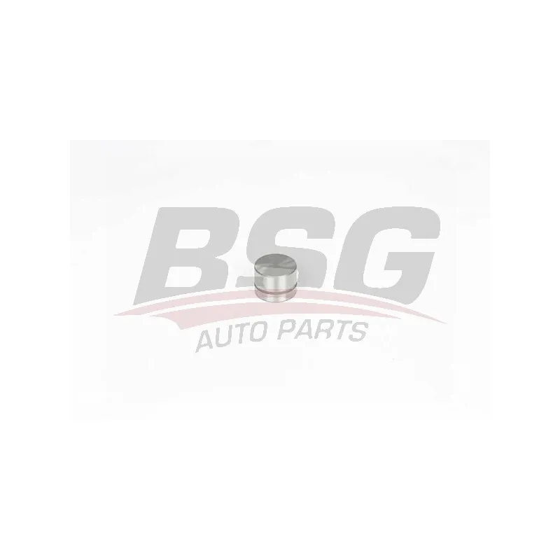 Poussoir de soupape BSG BSG 15-122-026