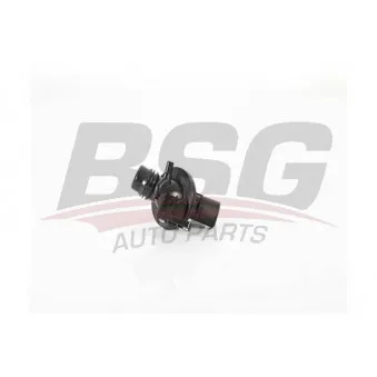Thermostat d'eau BSG BSG 15-125-007