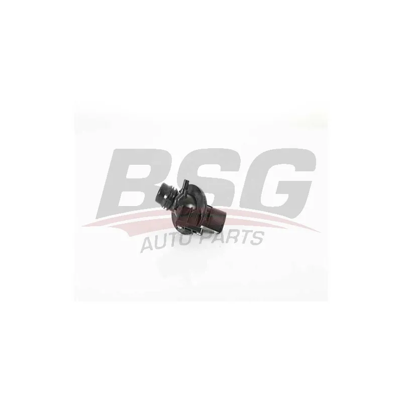 Thermostat d'eau BSG BSG 15-125-007
