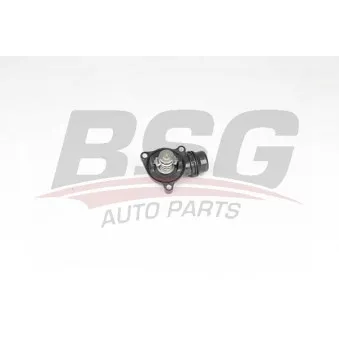 Thermostat d'eau BSG BSG 15-126-018