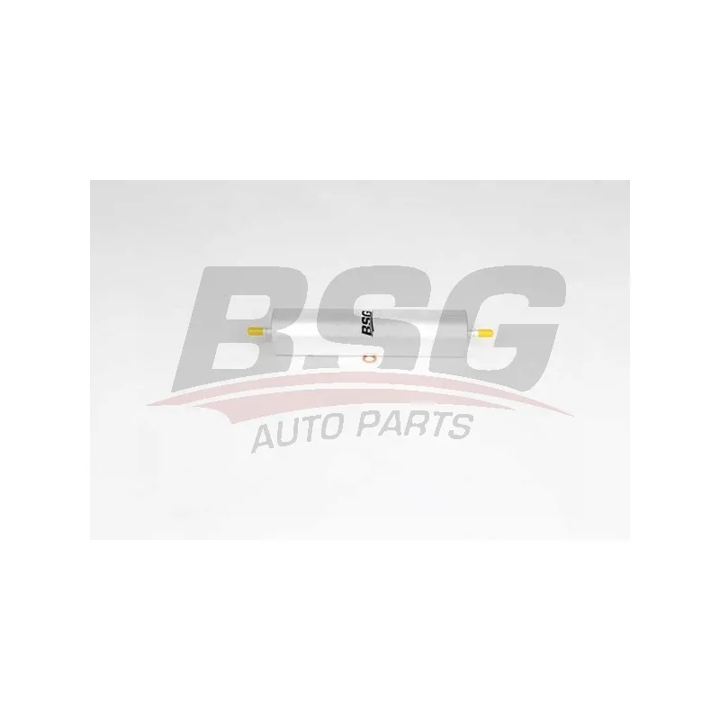 Filtre à carburant BSG BSG 15-130-010
