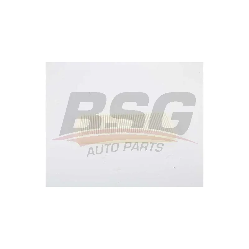 Filtre, air de l'habitacle BSG BSG 15-145-017