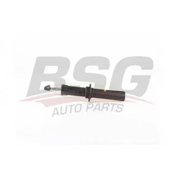 Jeu de 2 amortisseurs arrière BSG BSG 15-300-039