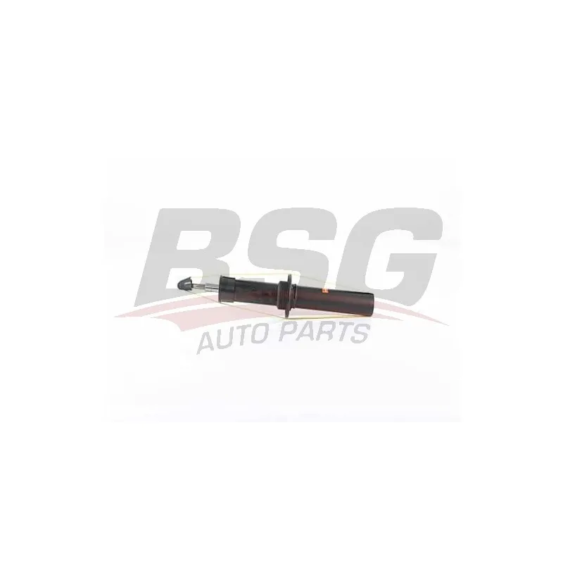 Jeu de 2 amortisseurs arrière BSG BSG 15-300-039