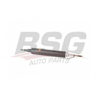 Jeu de 2 amortisseurs arrière BSG BSG 15-300-044
