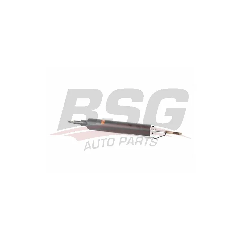 Jeu de 2 amortisseurs arrière BSG BSG 15-300-044