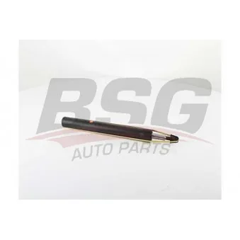 Jeu de 2 amortisseurs avant BSG BSG 15-300-045