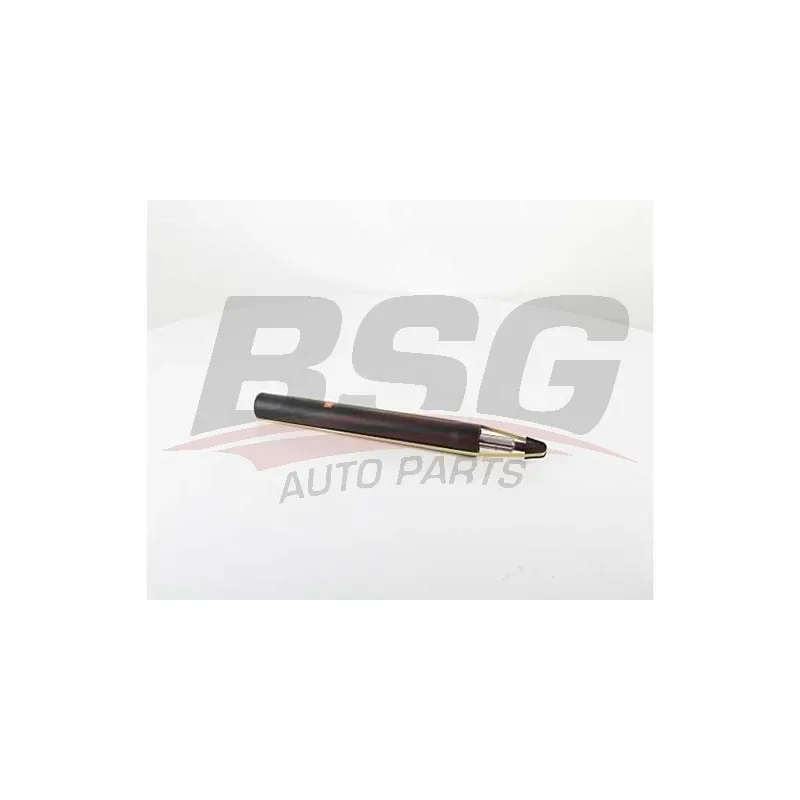 Jeu de 2 amortisseurs avant BSG BSG 15-300-045