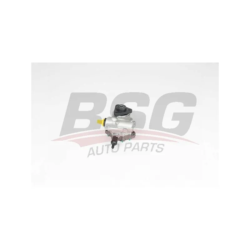Pompe hydraulique, direction BSG BSG 15-355-024