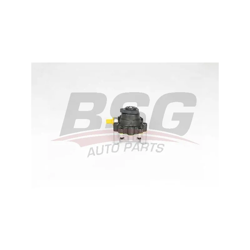 Pompe hydraulique, direction BSG BSG 15-355-025