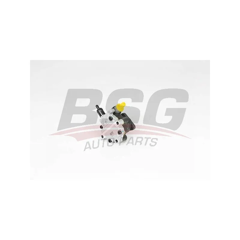 Pompe hydraulique, direction BSG BSG 15-355-026