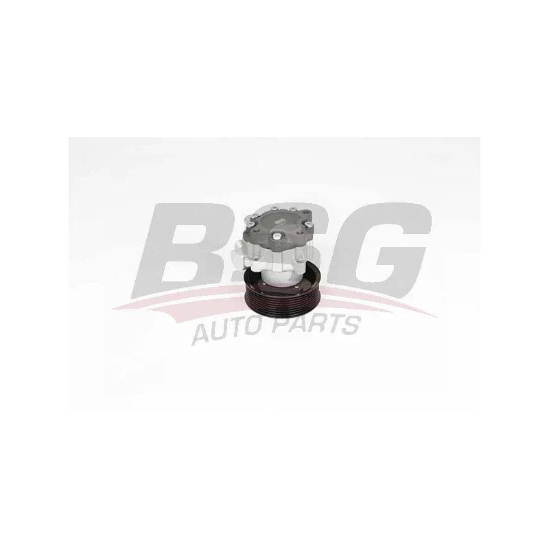 Pompe hydraulique, direction BSG BSG 15-355-030