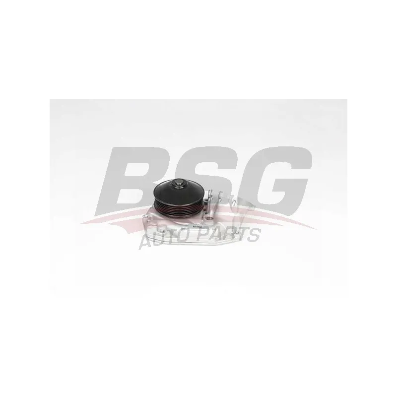 Pompe à eau BSG BSG 15-500-027