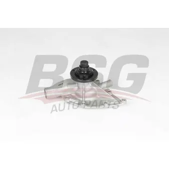 Pompe à eau BSG BSG 15-500-031