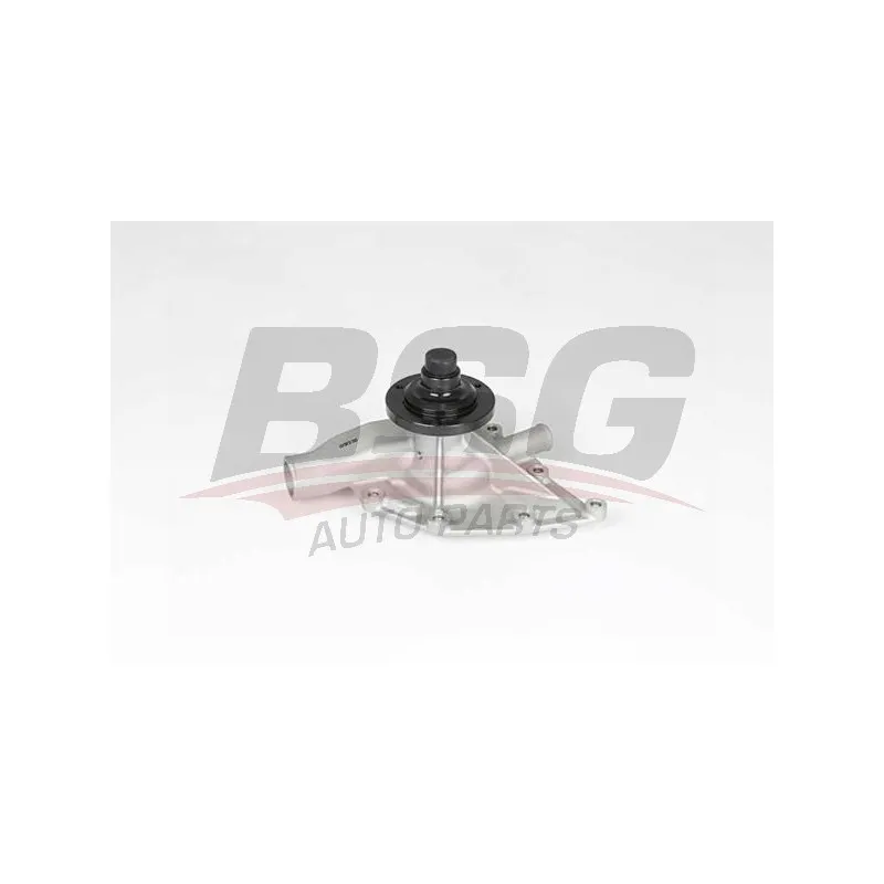 Pompe à eau BSG BSG 15-500-031