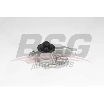 Pompe à eau BSG BSG 15-500-033