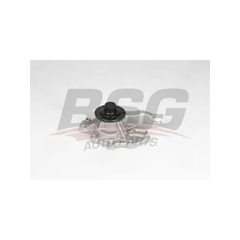 Pompe à eau BSG BSG 15-500-033