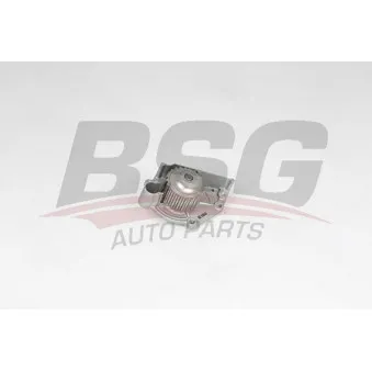 Pompe à eau BSG BSG 15-500-034