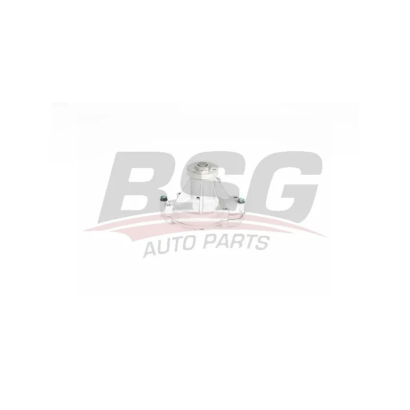 Pompe à eau BSG BSG 15-500-036