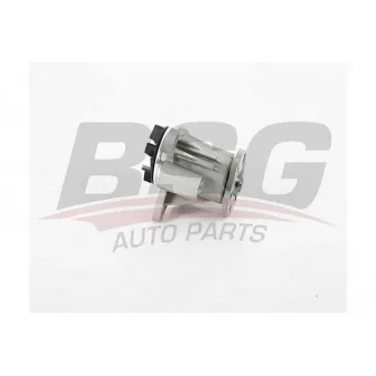 Pompe à eau BSG BSG 15-500-038