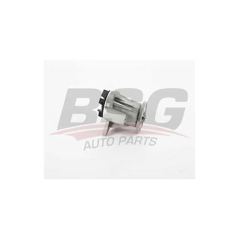 Pompe à eau BSG BSG 15-500-038