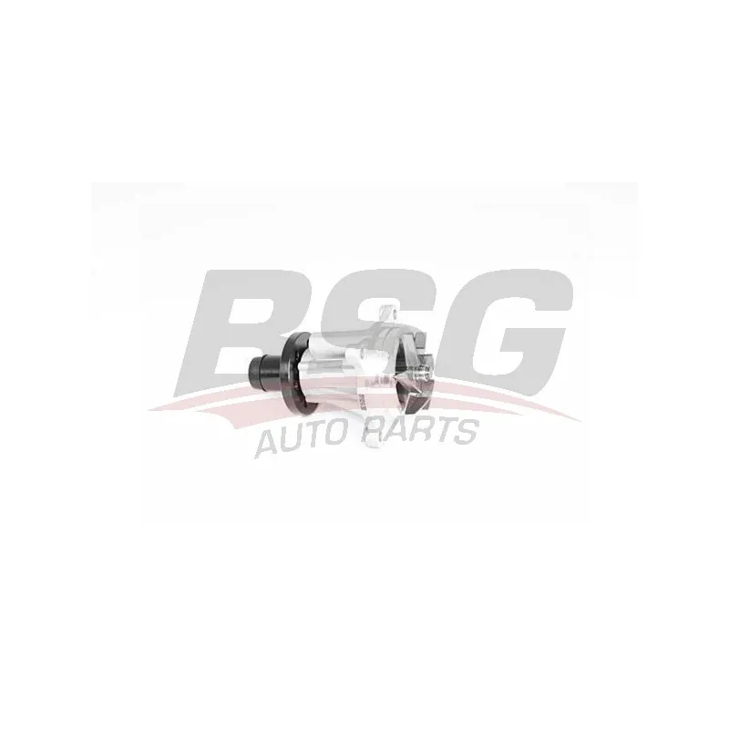 Pompe à eau BSG BSG 15-500-040