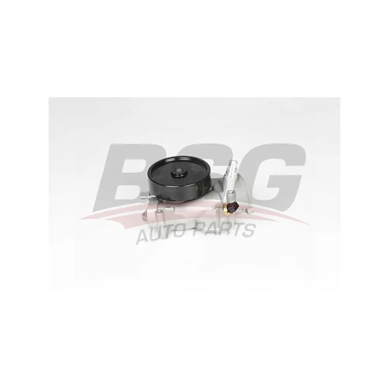 Pompe à eau BSG BSG 15-500-044