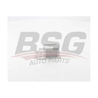 Radiateur d'huile BSG BSG 15-506-012