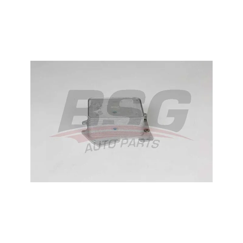 Radiateur d'huile BSG BSG 15-506-034