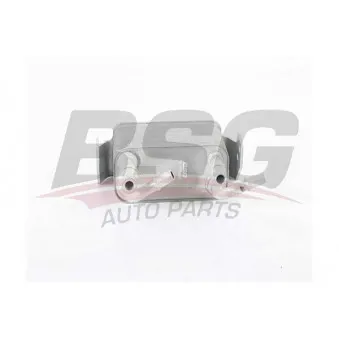 Radiateur d'huile BSG BSG 15-506-038