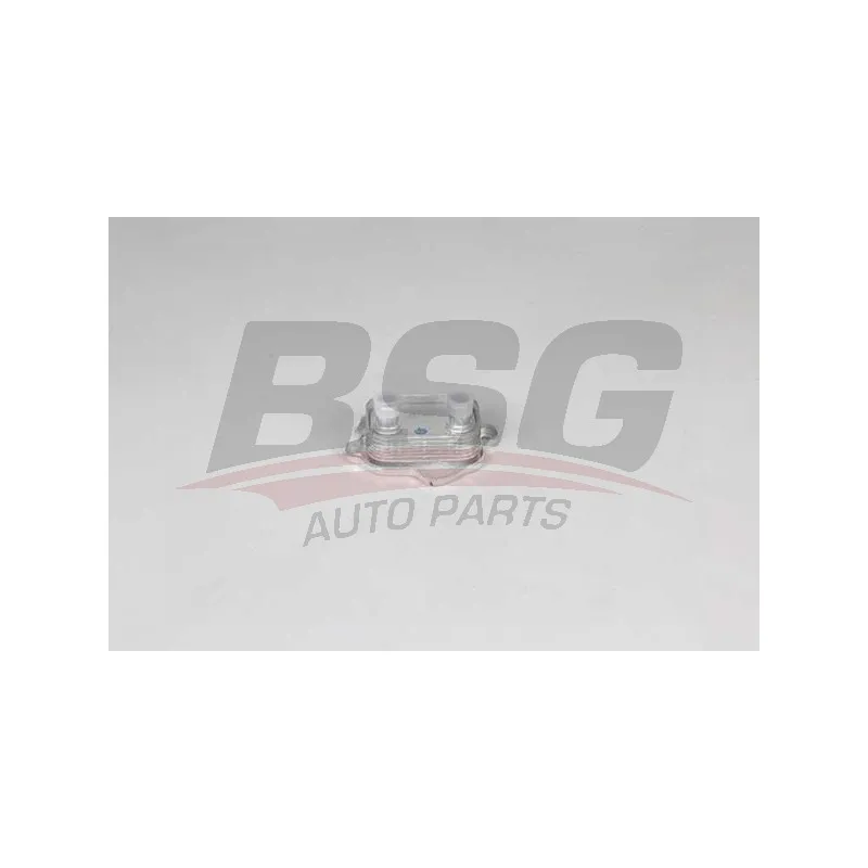 Radiateur d'huile BSG BSG 15-506-042