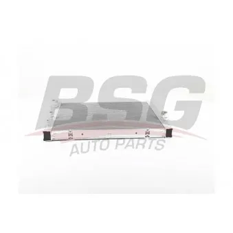 Radiateur, refroidissement du moteur BSG BSG 15-520-029