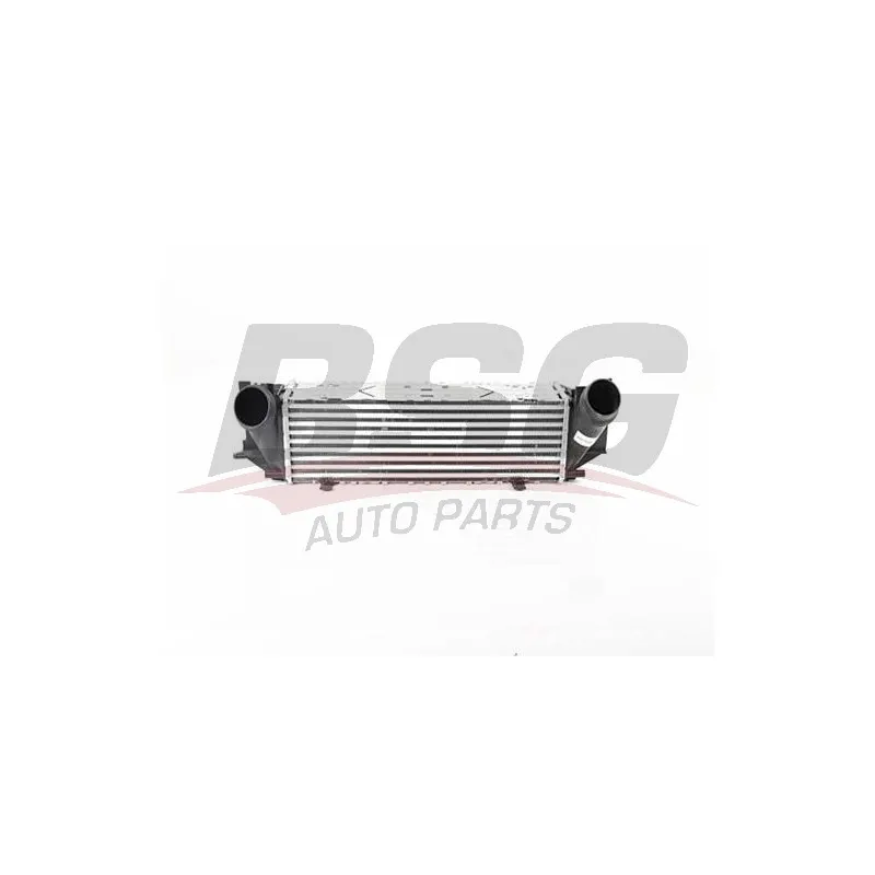 Intercooler, échangeur BSG BSG 15-535-014