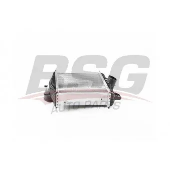 Intercooler, échangeur BSG BSG 15-535-015