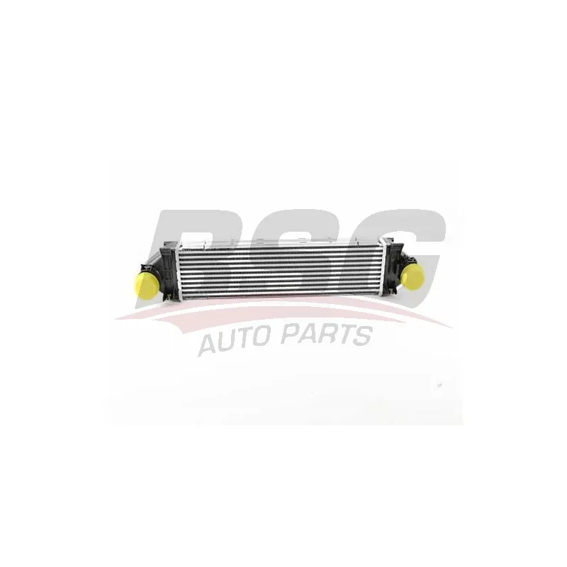 Intercooler, échangeur BSG BSG 15-535-020
