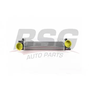 Intercooler, échangeur BSG BSG 15-535-022