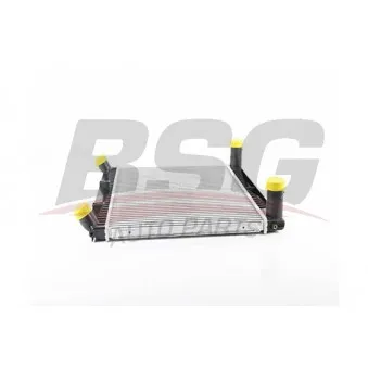 Intercooler, échangeur BSG BSG 15-535-024