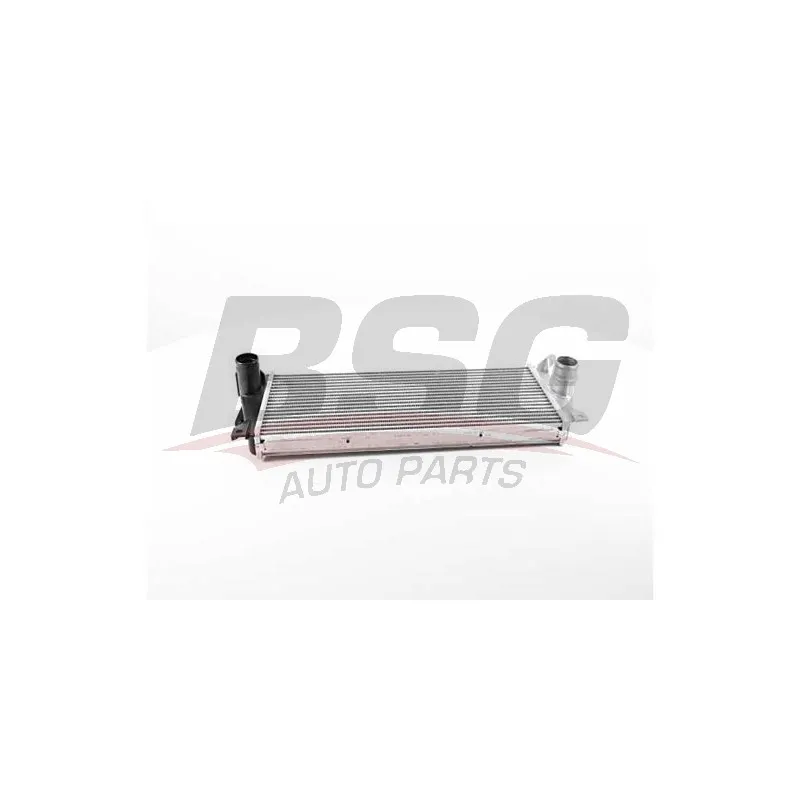 Intercooler, échangeur BSG BSG 15-535-027