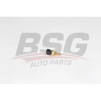 Sonde de température, liquide de refroidissement BSG BSG 15-840-044