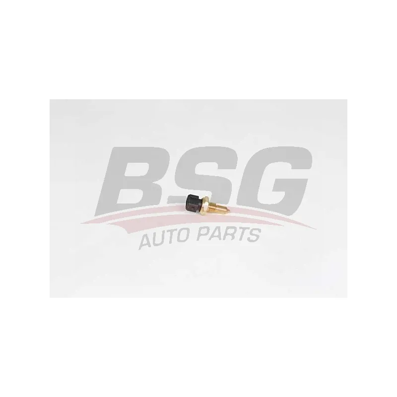 Sonde de température, liquide de refroidissement BSG BSG 15-840-044