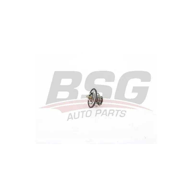 Thermostat d'eau BSG BSG 16-125-007