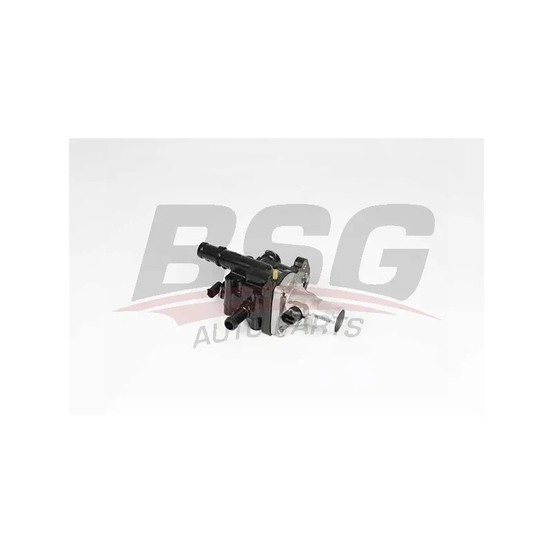 Thermostat d'eau BSG BSG 16-126-004