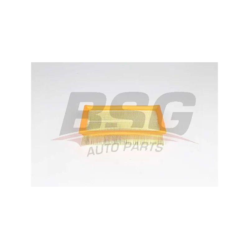 Filtre à air BSG BSG 16-135-005