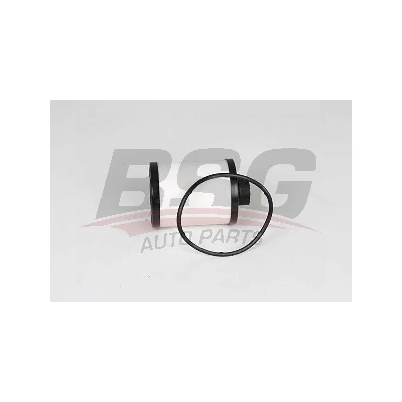 Filtre à carburant BSG BSG 25-130-006
