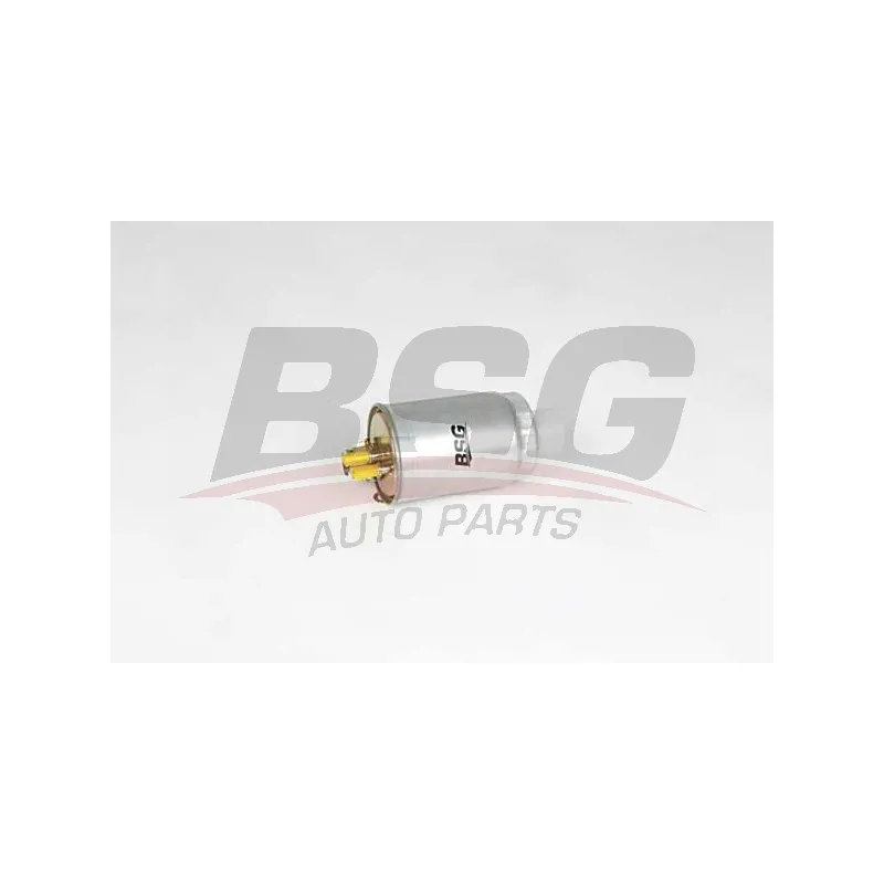 Filtre à carburant BSG BSG 25-130-007