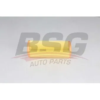 Filtre à air BSG BSG 25-135-004