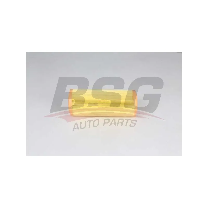 Filtre à air BSG BSG 25-135-004