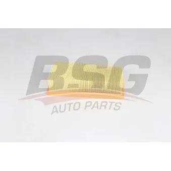 Filtre à air BSG BSG 25-135-007