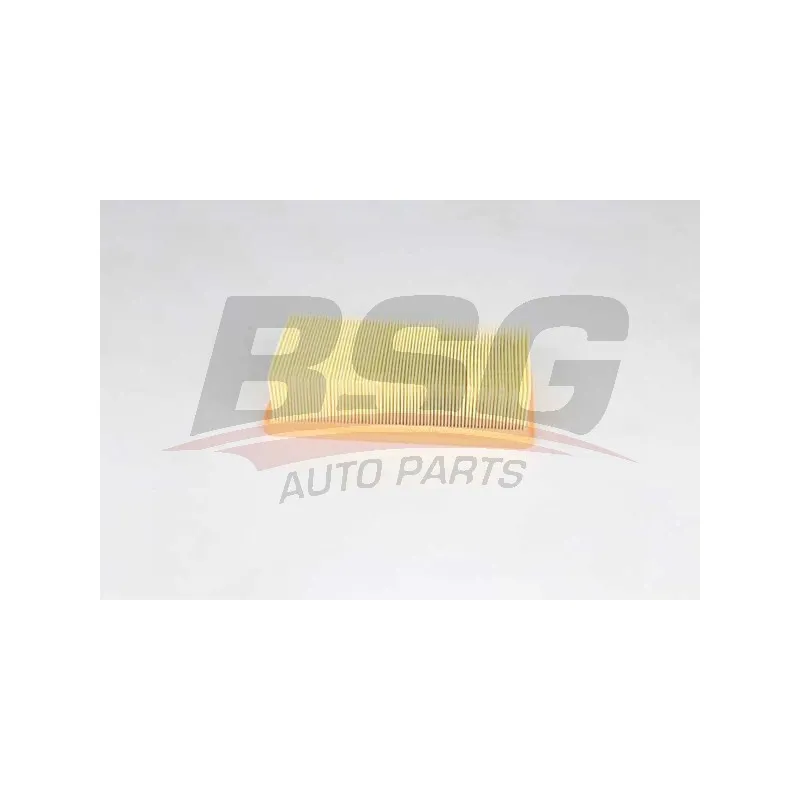 Filtre à air BSG BSG 25-135-007
